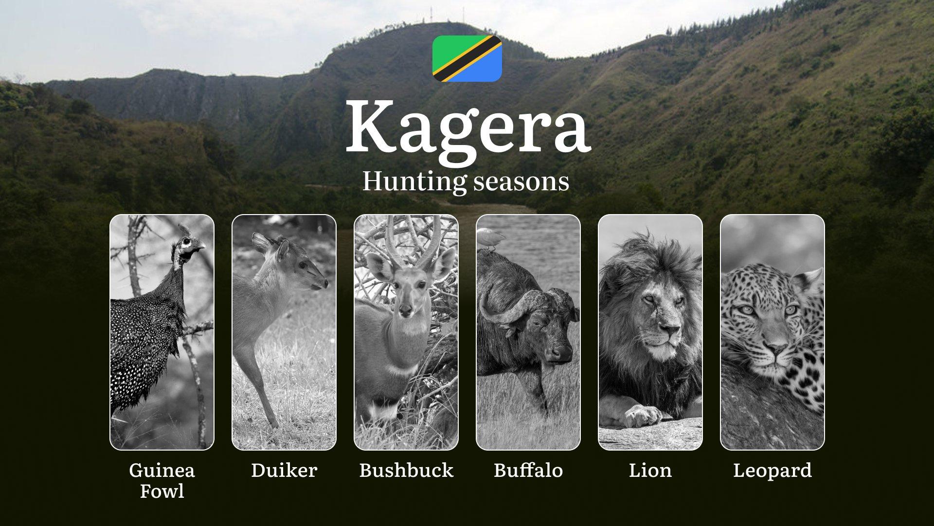Kagera: Hunting Timeframes, Species and Seasonal Bans, Participating in the Hunt, Getting Licensed, Penalties That May Spoil Season, Expert Recommendations, Timing, Tools