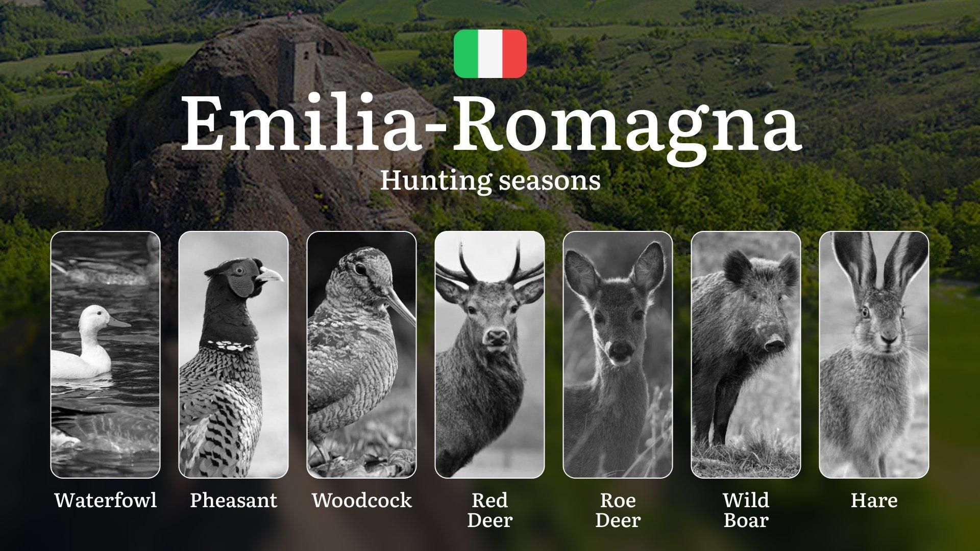 Hunting in Emilia-Romagna: From the Comacchio Valleys to the Apennines – The Hunting Calendar, Seasons, and Rules to Know