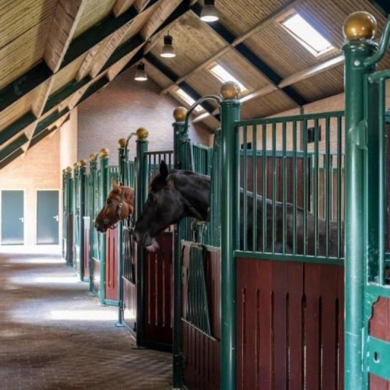 Beautiful riding facility 🏡🐎