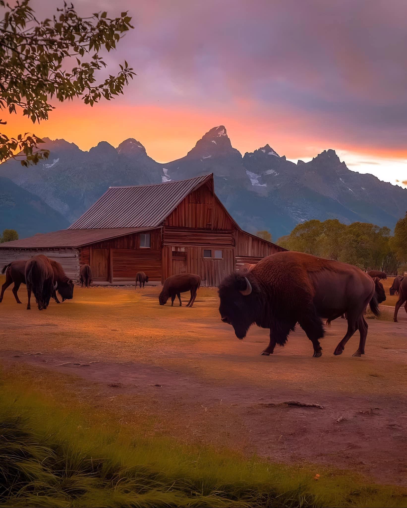 Grand Teton National Park, Wyoming 🌄💕