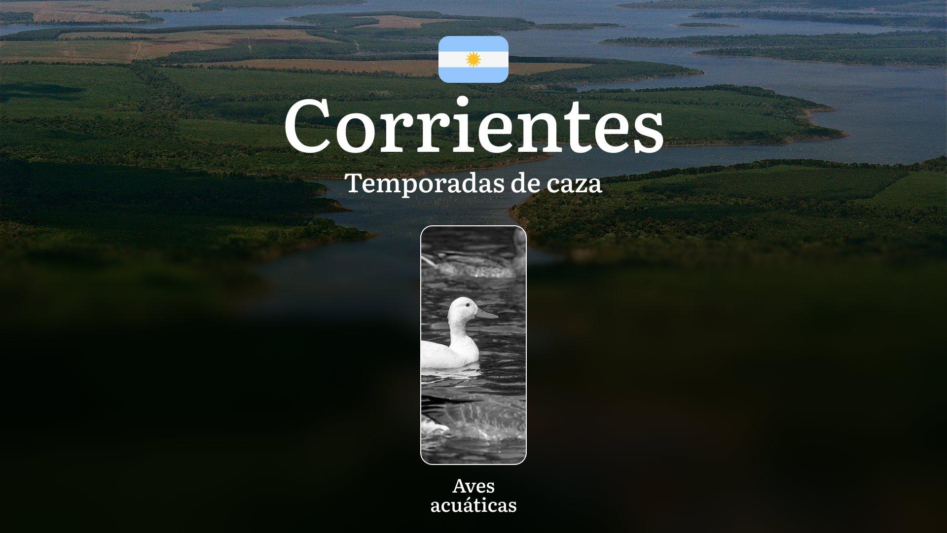 Temporadas de caza en la provincia de Corrientes, Argentina: fechas, reglas, licencias y tácticas, prohibiciones y límites, consejos de cazadores