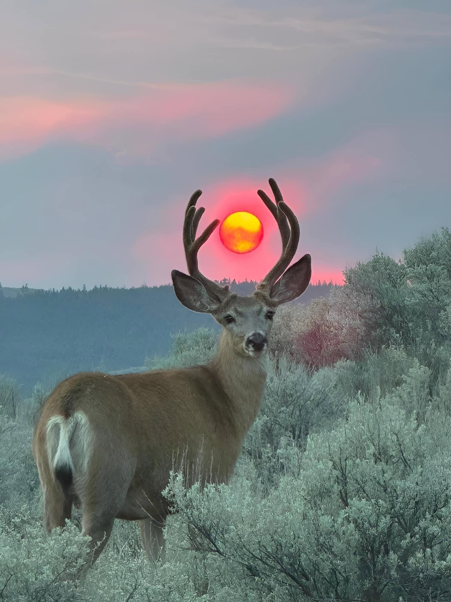 This is a photo that a photographer took hours to capture