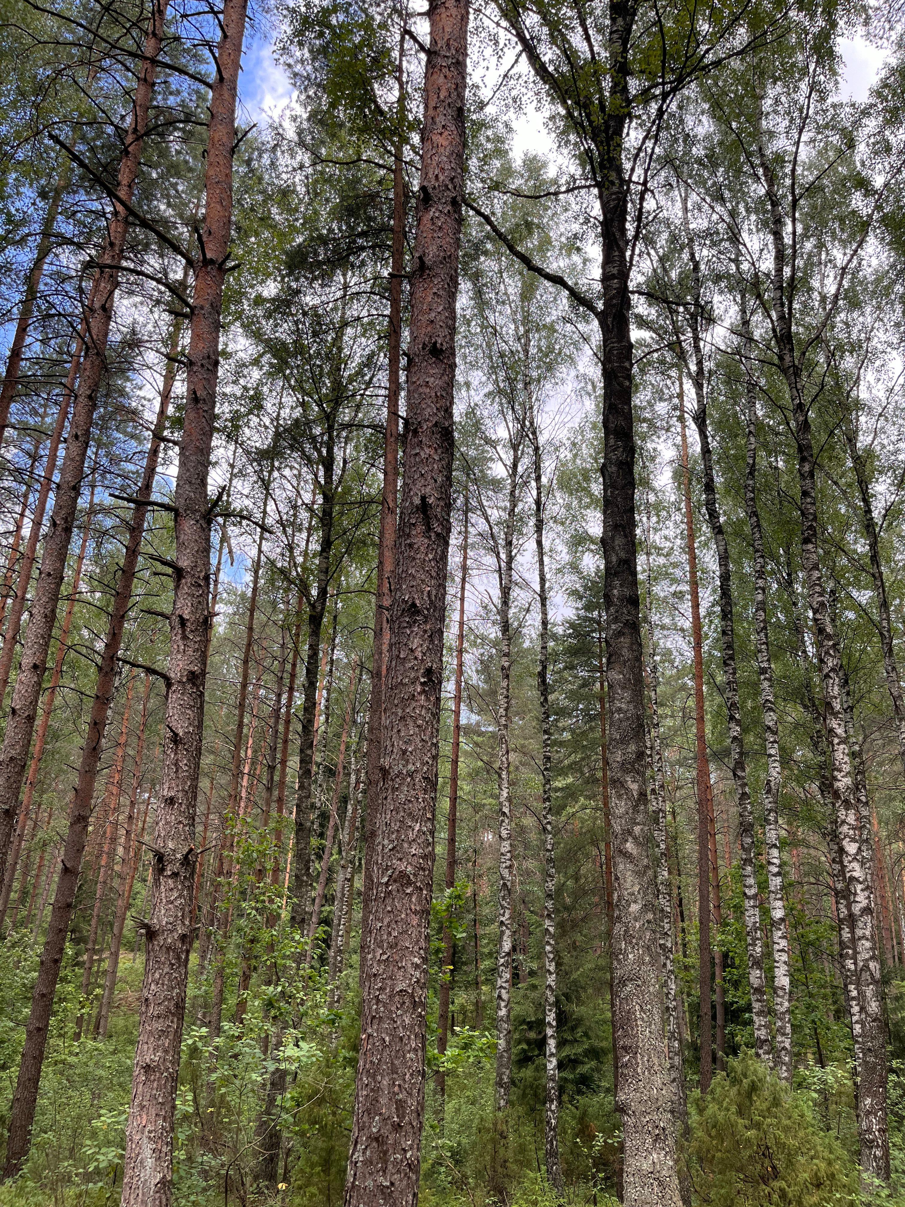 Отдых за городом