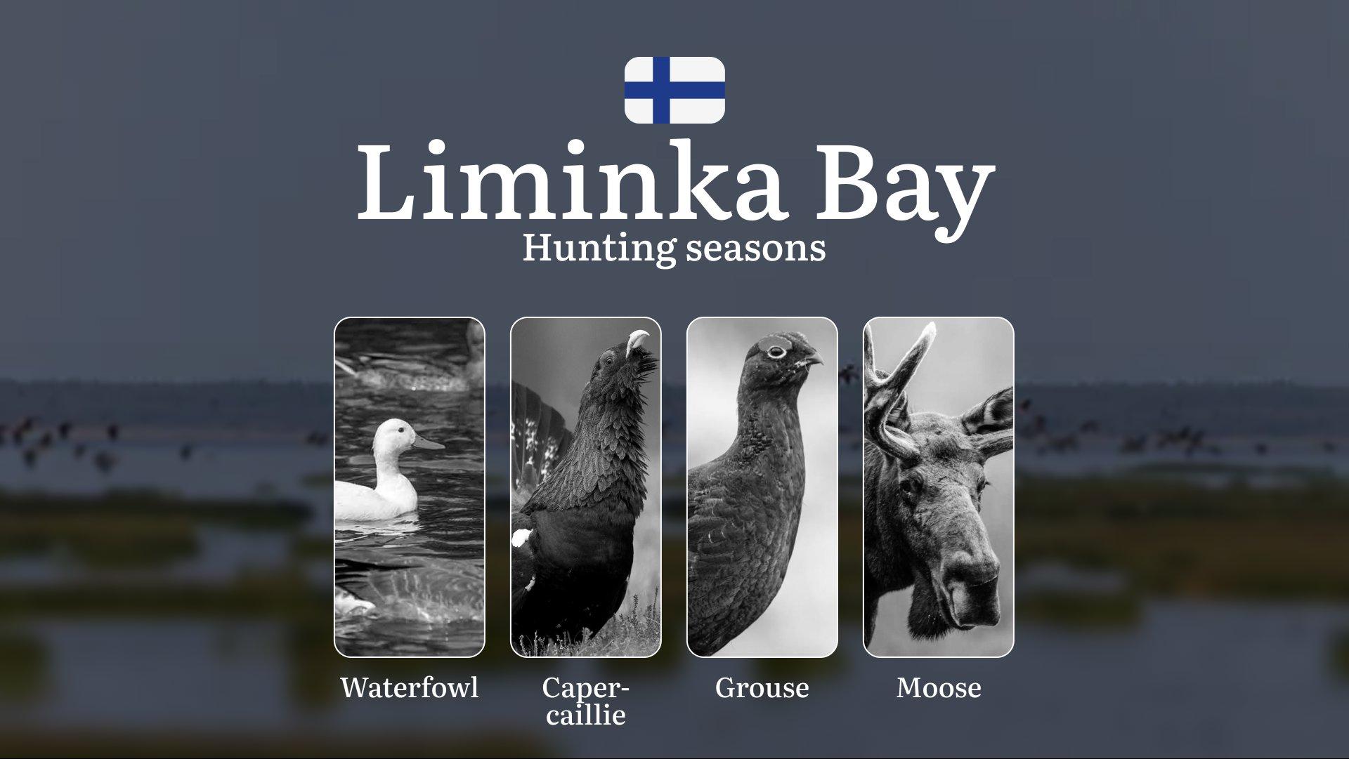 Hunting Seasons in LIMINKA BAY: Key Dates, Vital Regulations, Obtaining Hunting Licenses, Restrictions and Conservation Measures