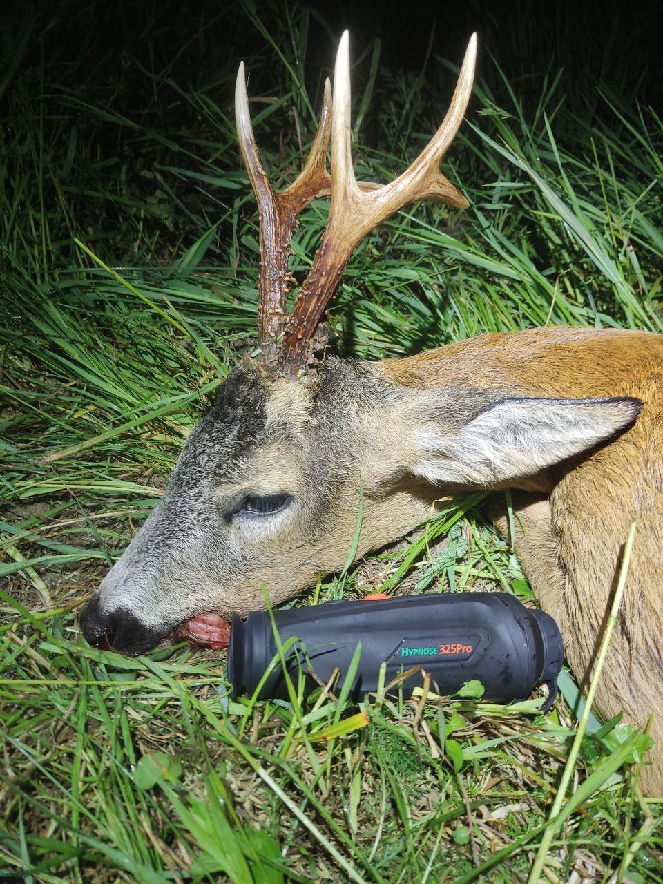 🦌💥Dobro jutro svima i produktivan tjedan od Ilye Zuenka iz zemalja Bjelorusije!