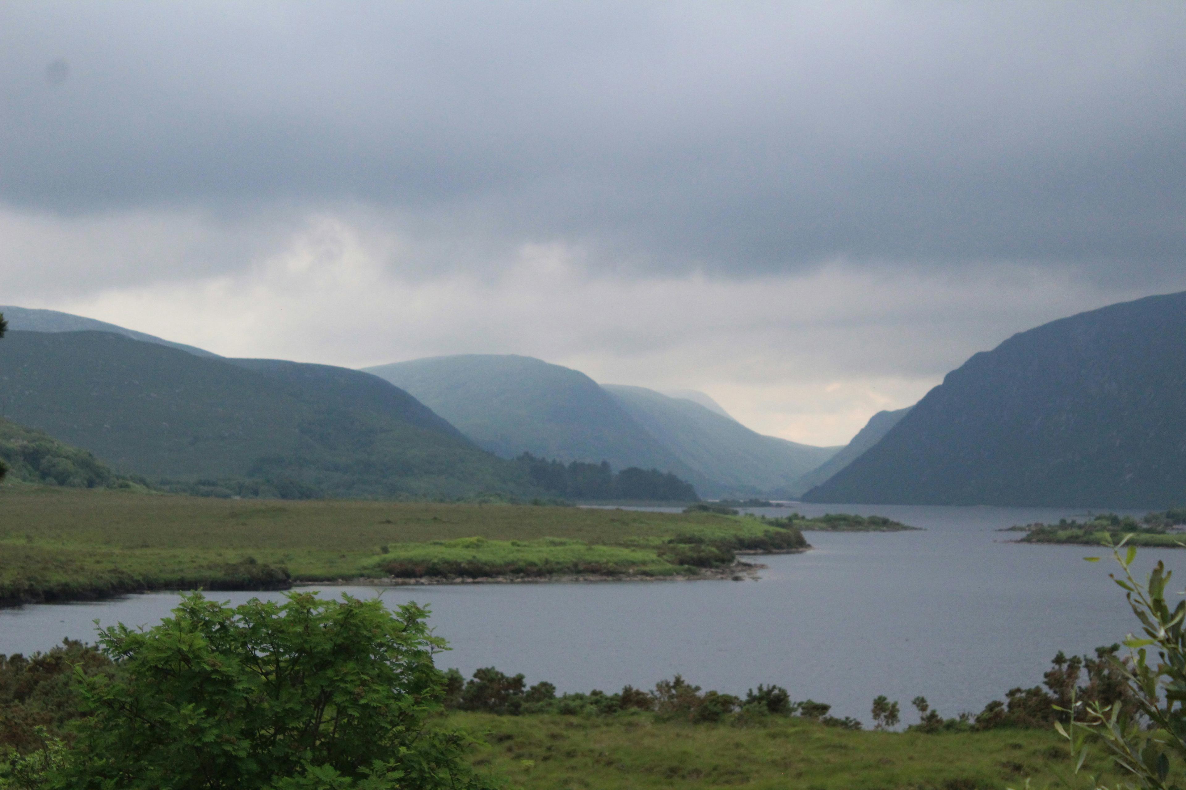 Slieve Bloom Mountain Hunting in Ireland: A Hunter's Guide to the Hidden Pearl.