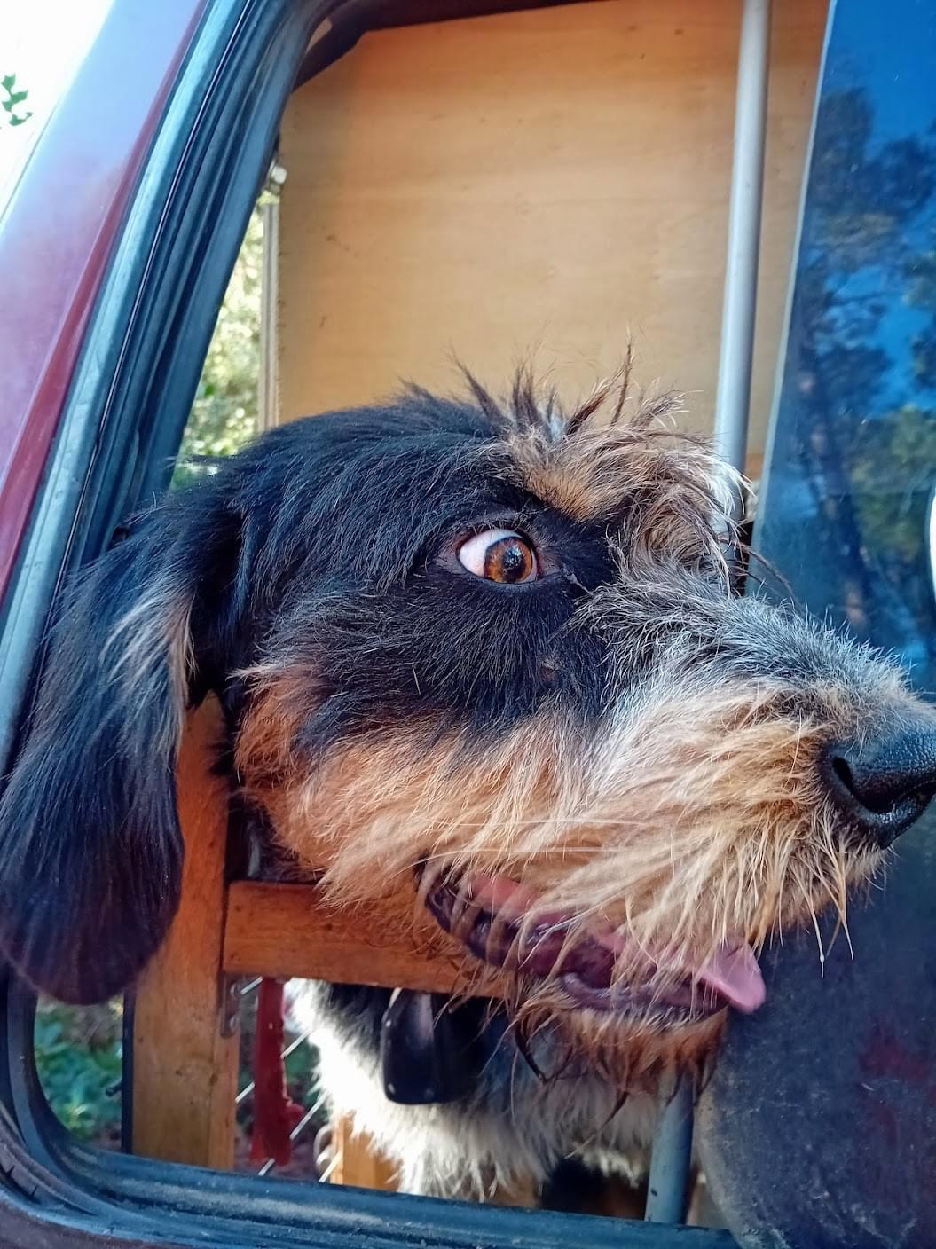 En attente du découplé dans les Cévennes avec une équipe formidable🥰 MERCI pour cette belle journée 👌