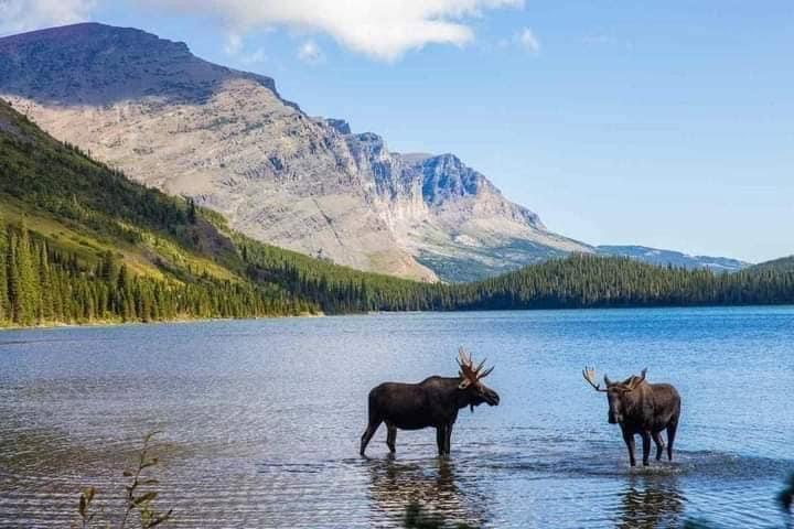 Montana!