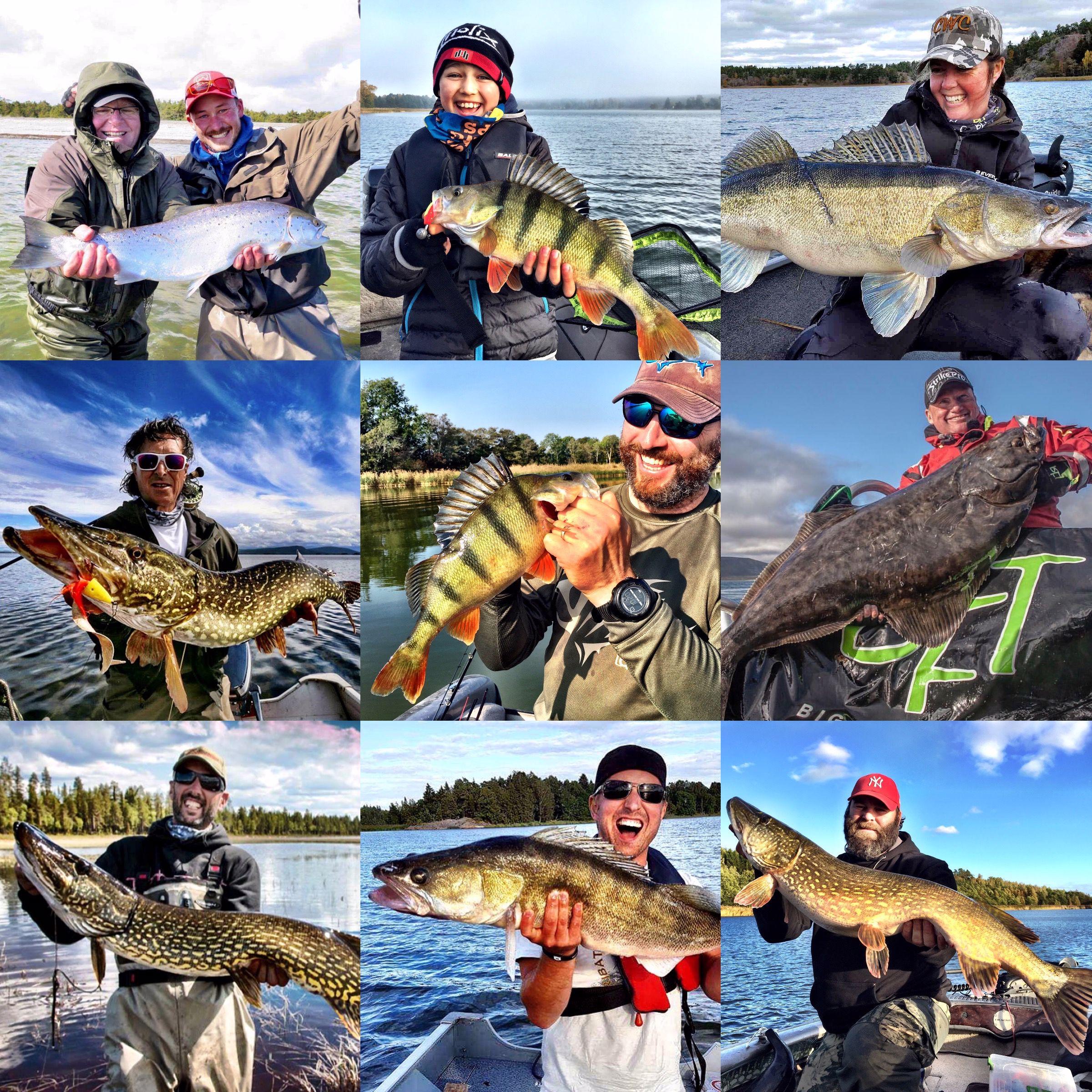 Fishing in Sweden