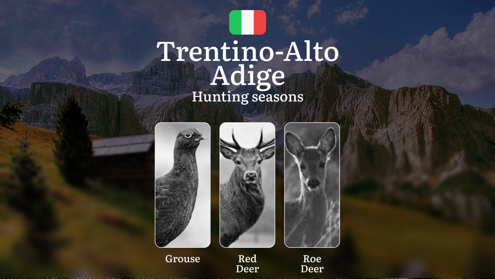 Trentino-Alto Adige Alpine Hunting Seasons: High-Altitude Schedules for Grouse, Chamois and Red Deer