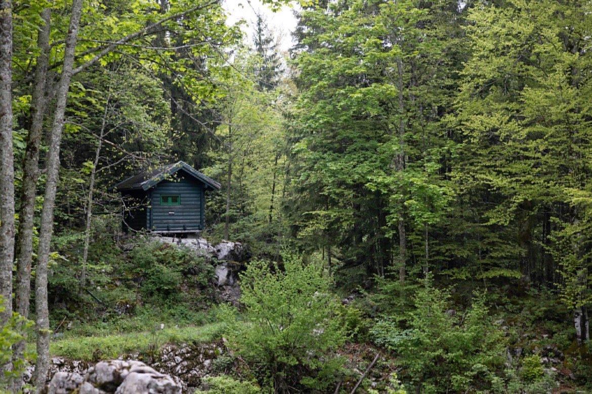 🌿Last available dates 2024 / 15% discount 🌿