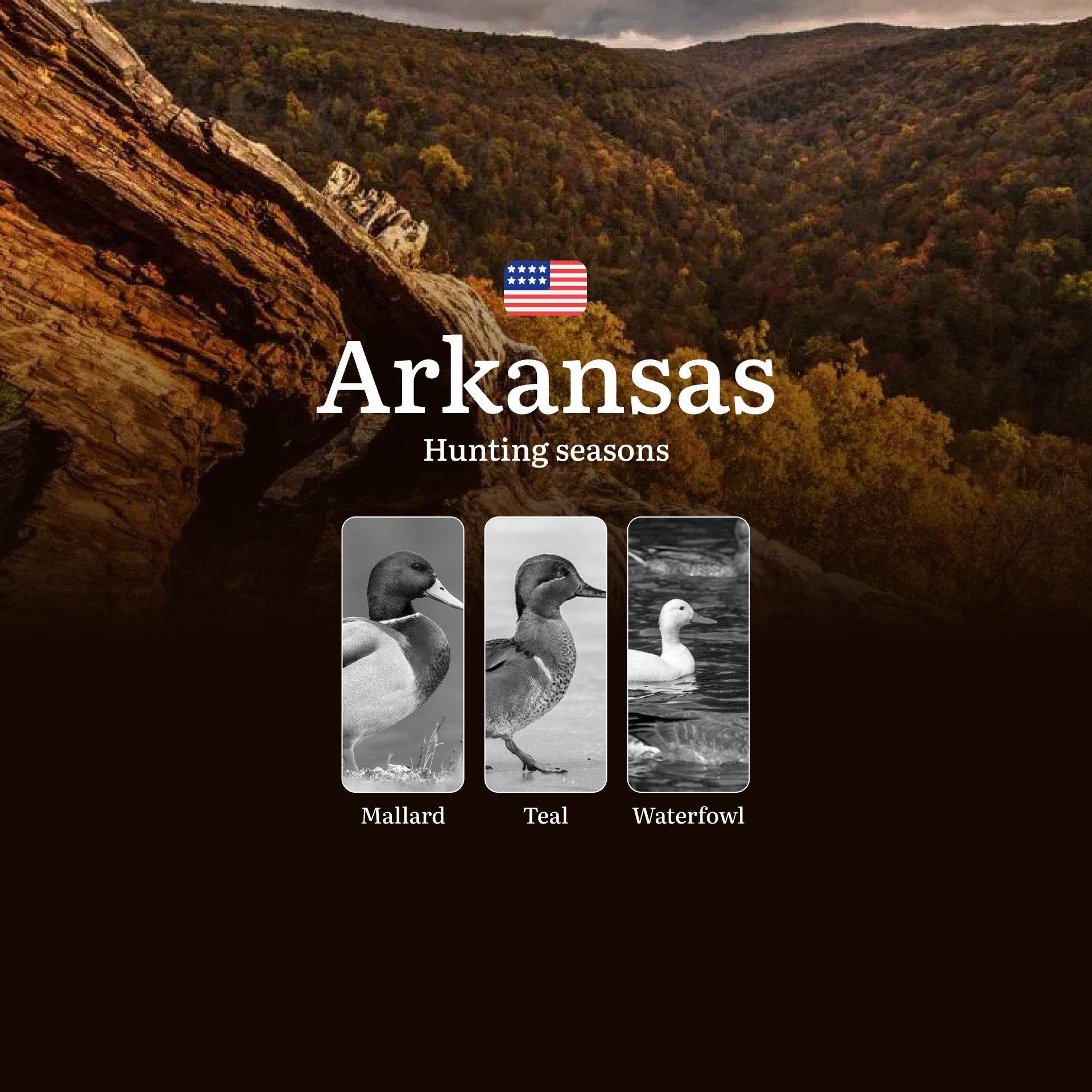 Seasons of Hunting in Arkansas: Hunting Dates, Licenses, Rules and Best Periods for Hunting, Tips for Hunters and Hunting Restrictions