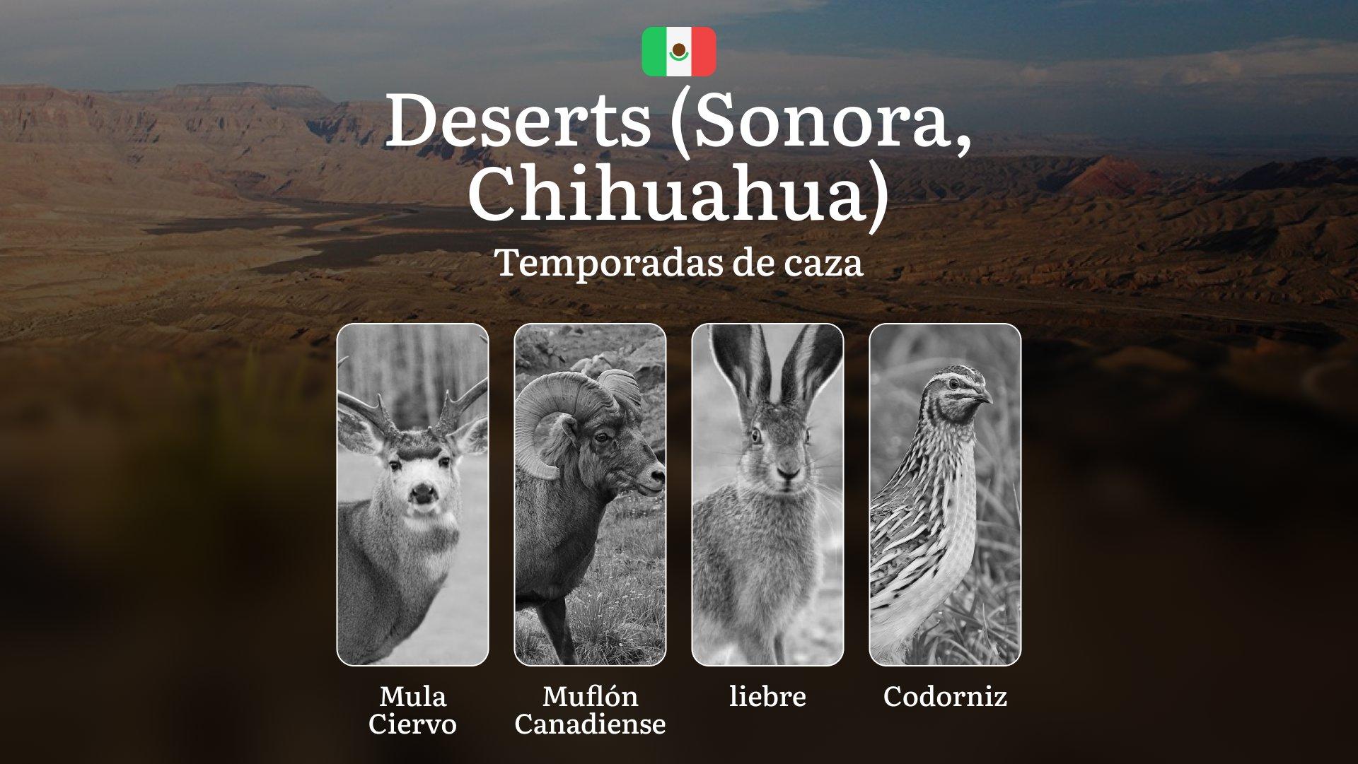 Temporadas y períodos de caza en los Desiertos Mexicanos (Sonora, Chihuahua): Periodos Legales y Dinámica de la Fauna