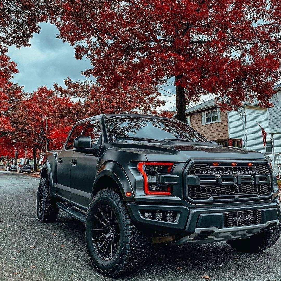 Ford F-150 Raptor: Мощь и проходимость для настоящих охотников