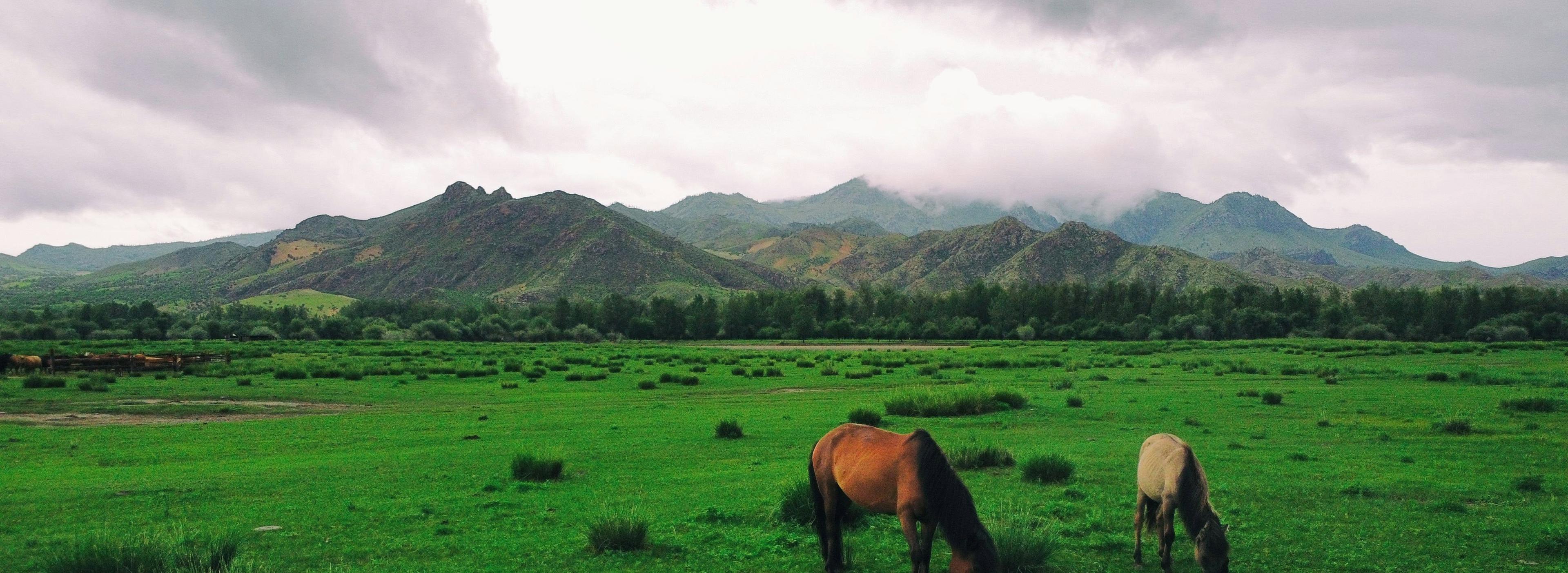  Mongolia: all about hunting and fishing, news, forum. banner
