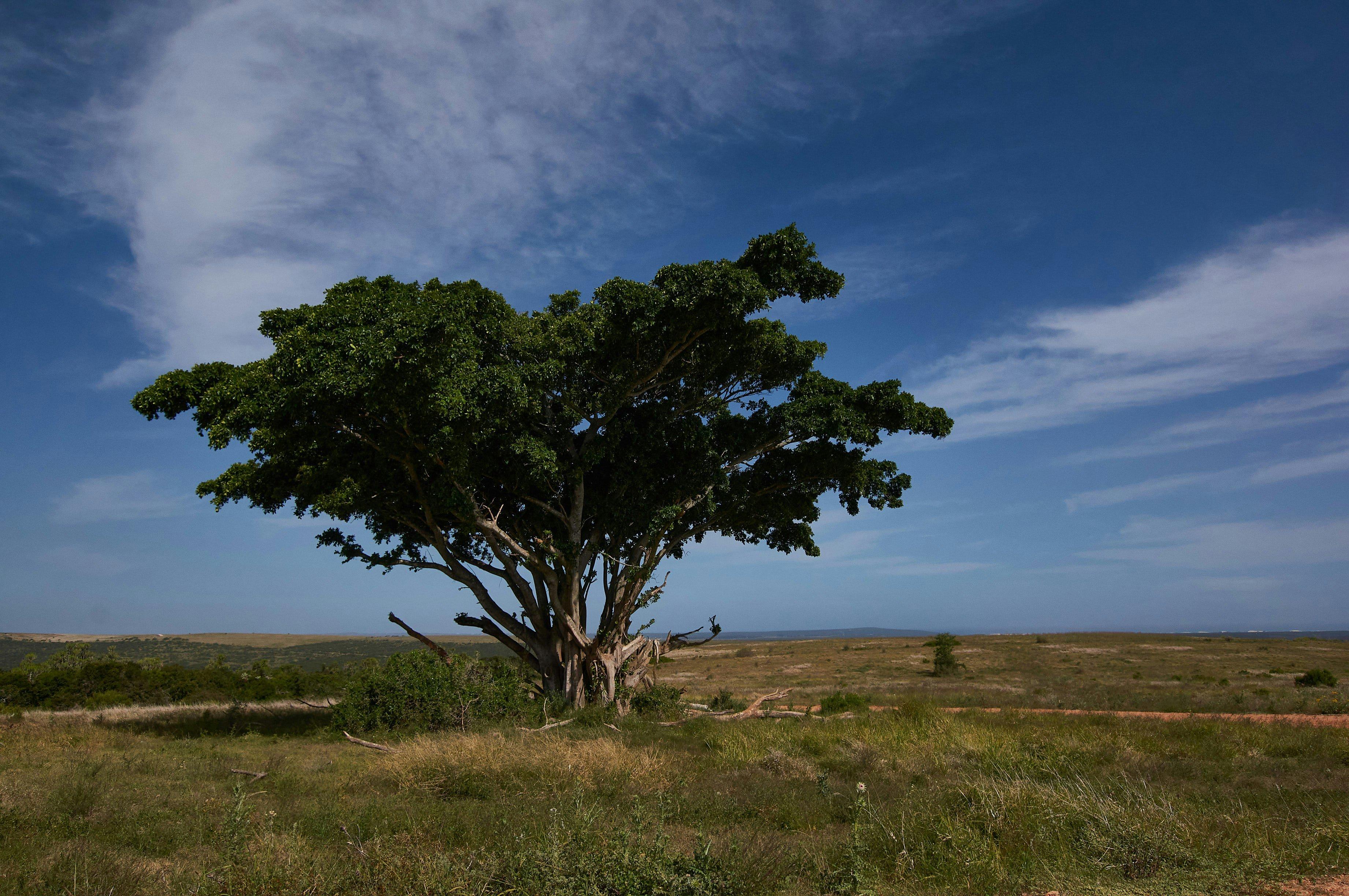 Hunting in Lunda Sul, Angola: Geography, Game Species, Hunting Styles, Season Dates and Local Associations 