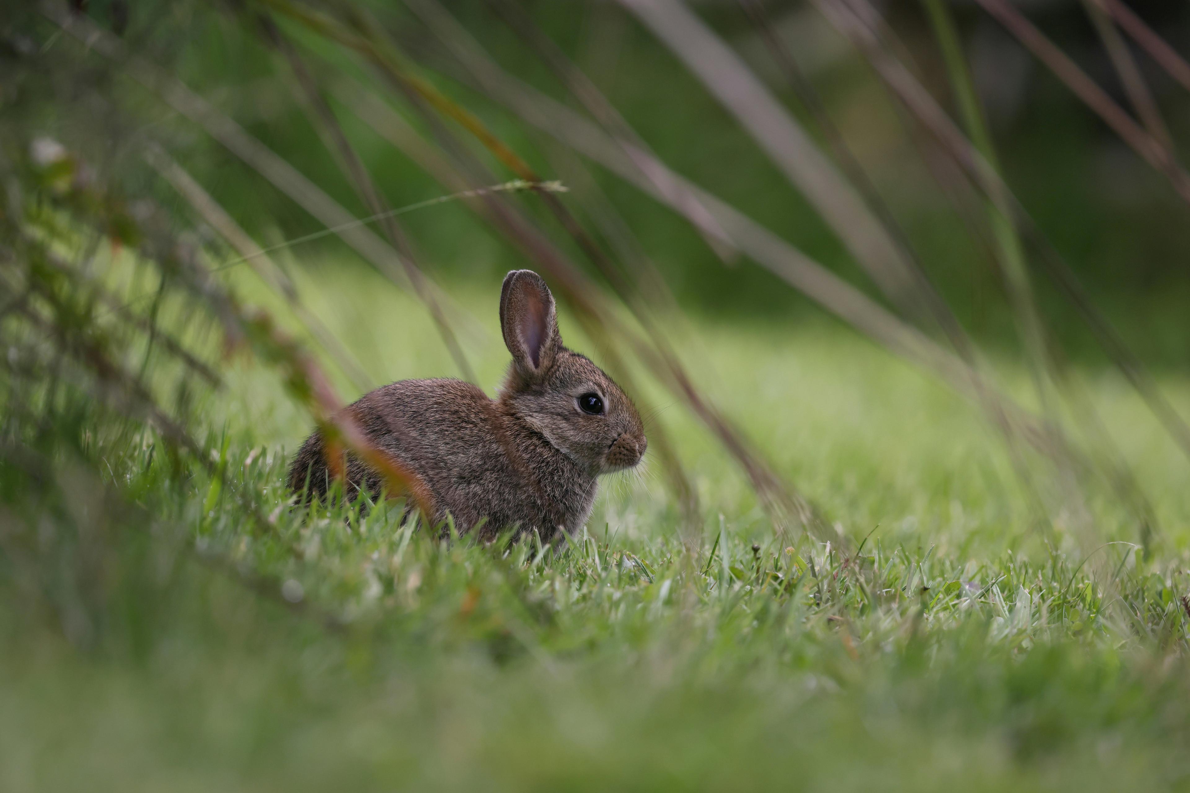 La Chasse au LOT: explorez la géographie, naviguez dans les saisons de chasse et découvrez des faits intéressants