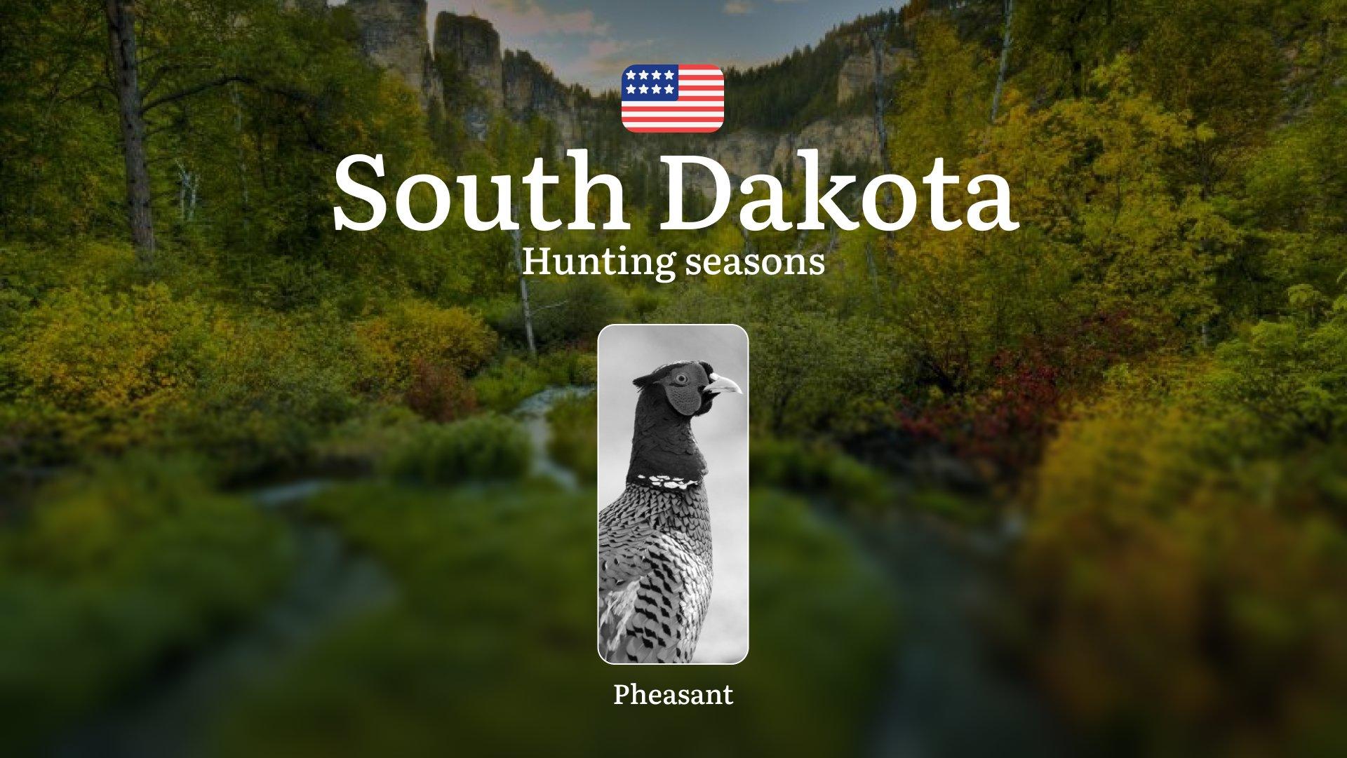 South Dakota: Pheasant Hunting Seasons and Dates, Licenses, Rules, Penalties for Violating Hunting Regulations