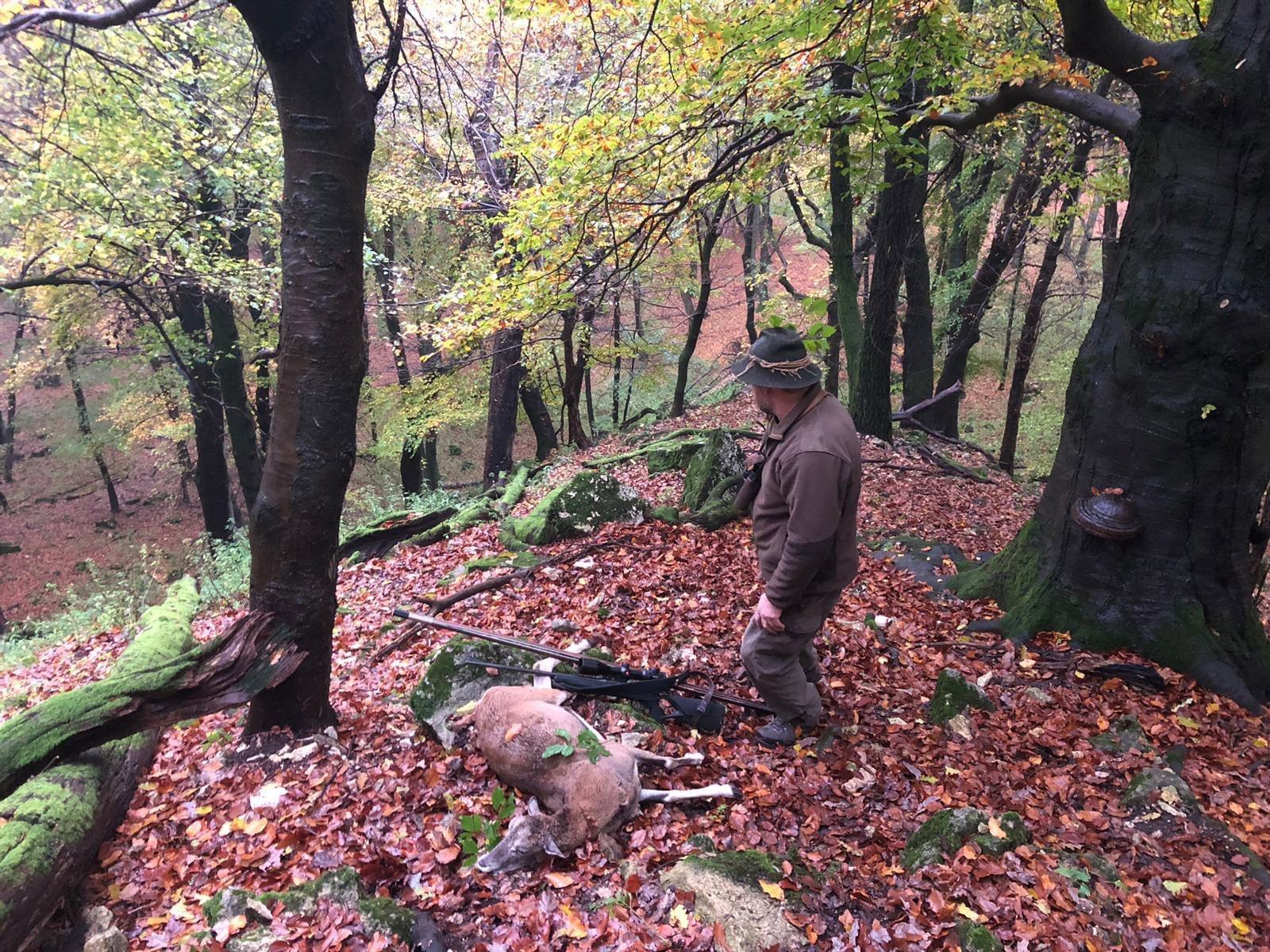 🇭🇺🐗🦌🌿