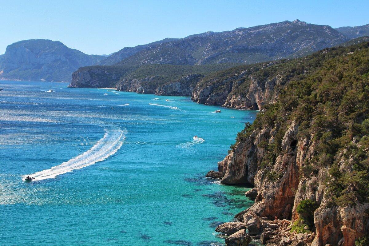 Caccia in SARDEGNA: Tra Moufloni Selvaggi, Macchia Mediterranea e Tradizioni Millenarie