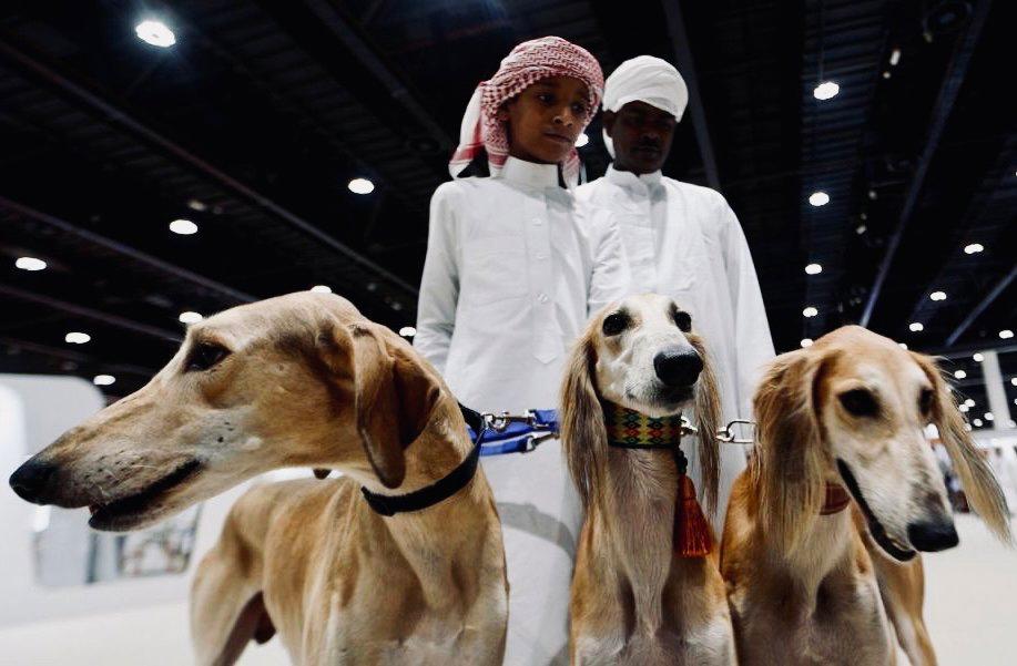 ADIHEX-中東で最大の狩猟＆馬術展示会。
