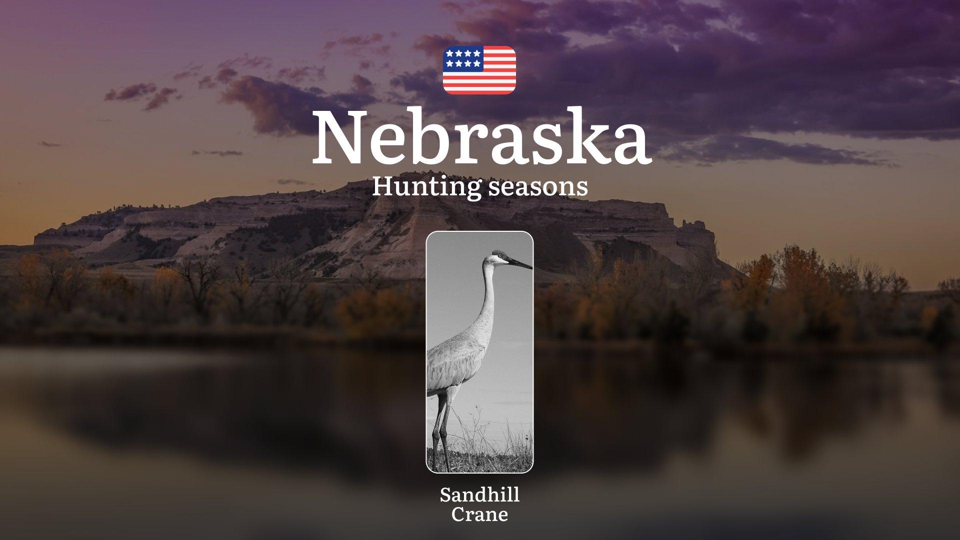 Sandhill Crane Hunting Seasons in Nebraska: Timing, Licenses, Rules, and Seasonality of Hunting, Restrictions and Prohibitions