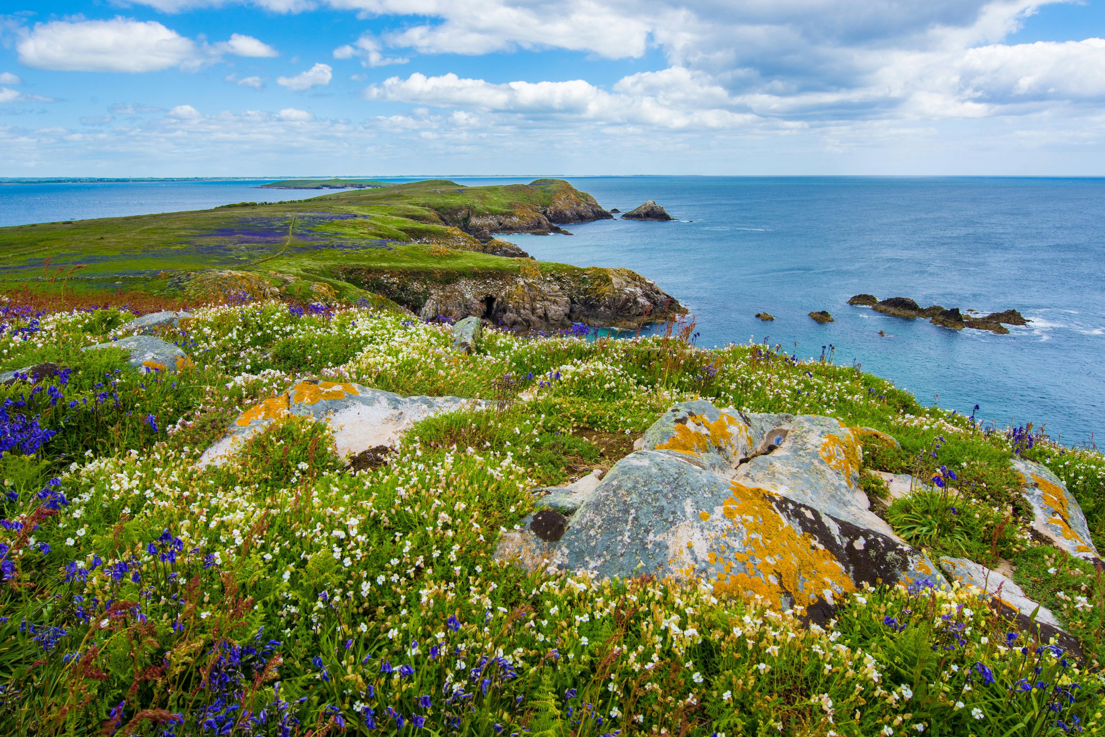 Hunting in Killarney National Park in Ireland: A Guide to Wildlife and Rules.