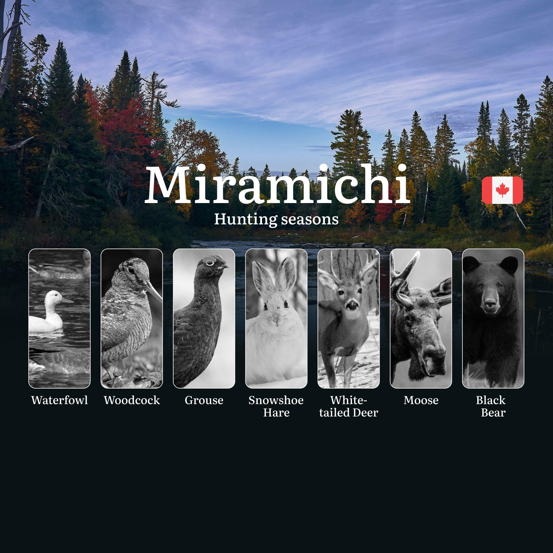 Hunting in MIRAMICHI, Canada: Season Dates, Restrictions and Key Regulations