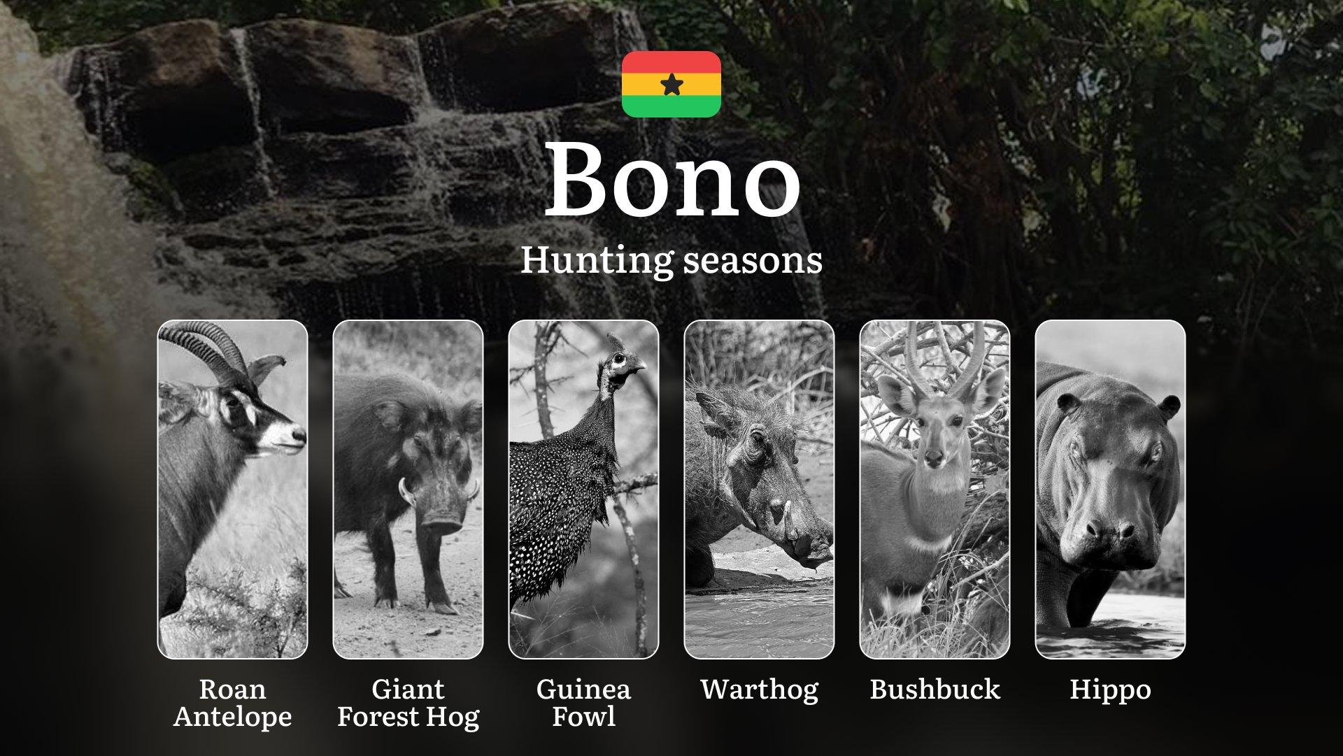 Hunting Calendar in Bono: The Thrill of Hunting Events and Traditions, Legislation & General Hunting Rules and Permits