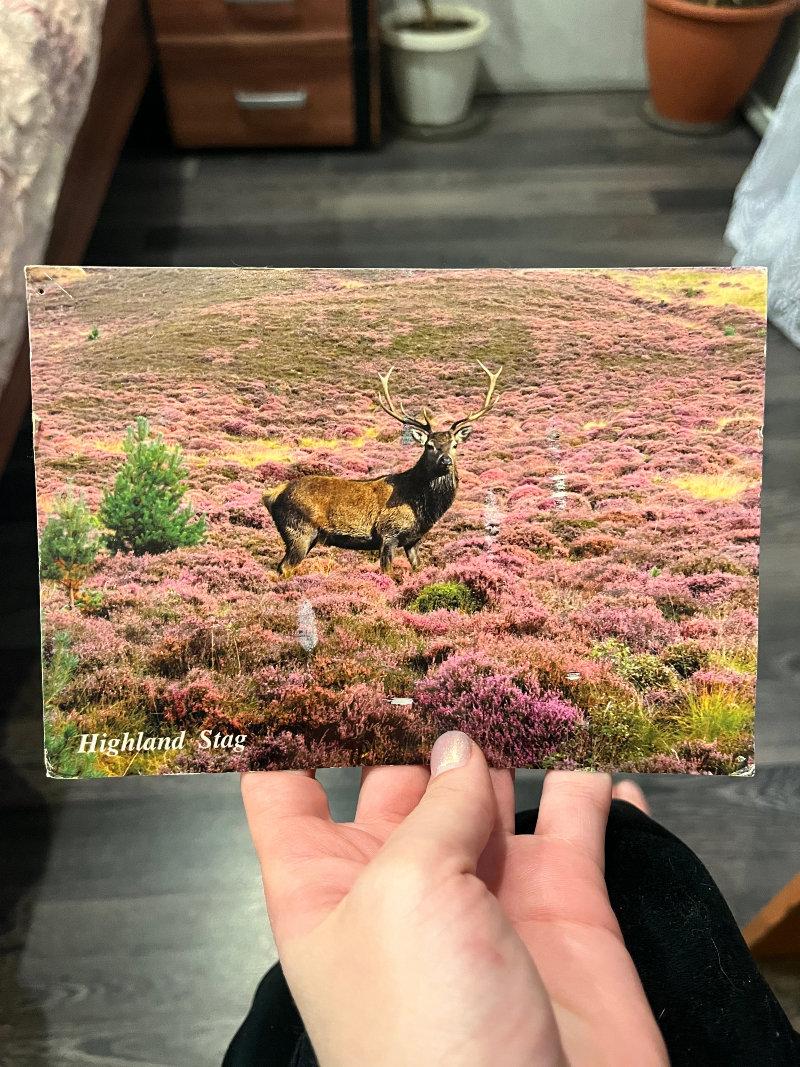 postcards