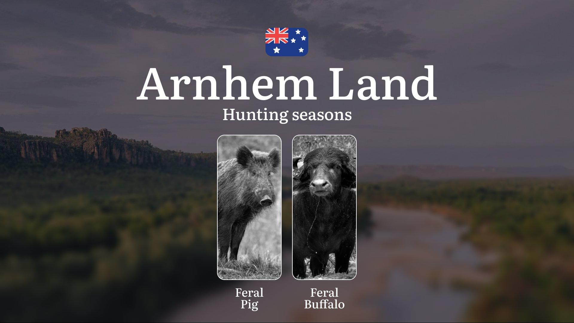 Hunting Seasons in Arnhem Land: Timing, Rules, and Tactics for a Successful Hunt
