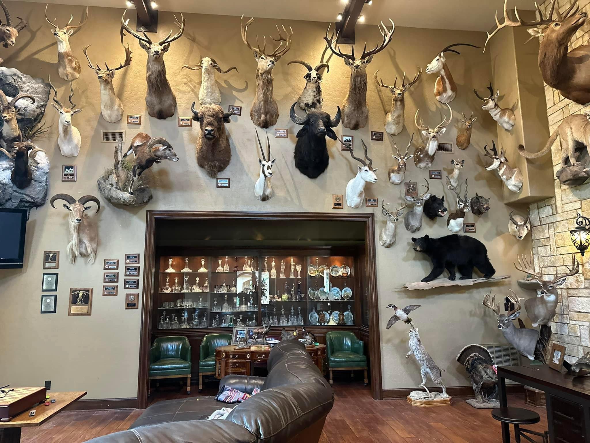New trophy room additions!!