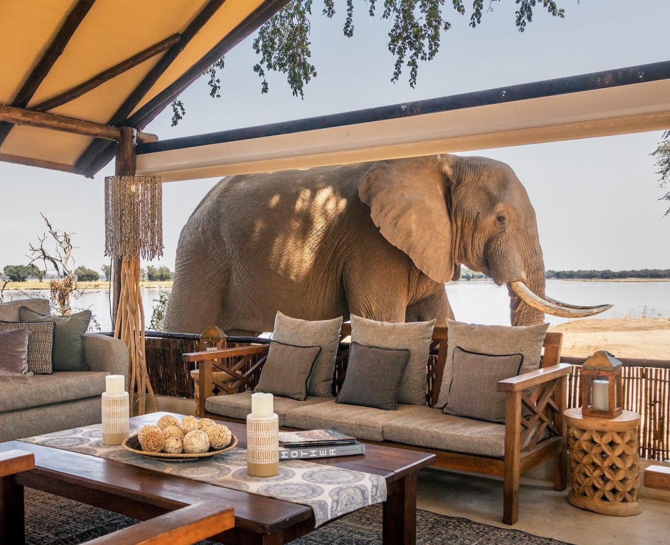 Africa’s favourite bushcamp, as voted by the readers of #travelafricamagazine.