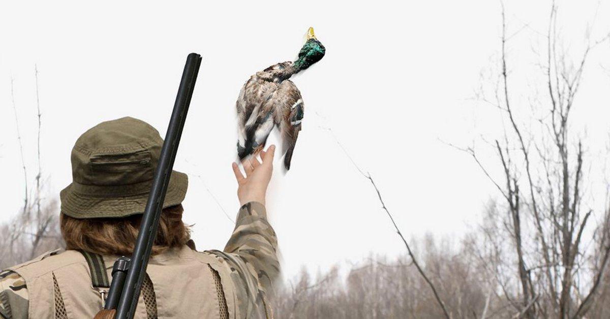 What is Ethical Hunting?