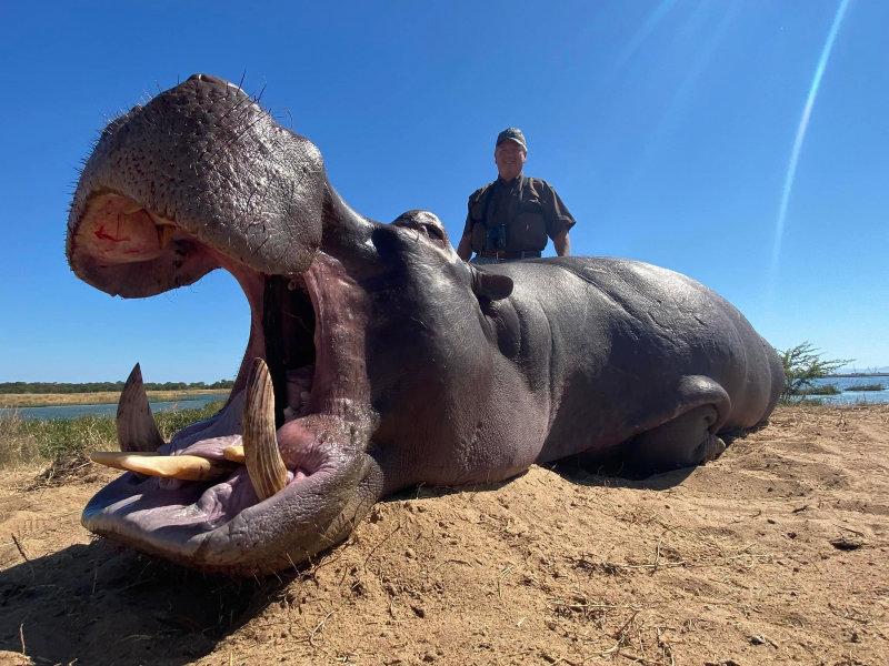 Some fantastic hippo and croc taken in lake Kariba Zimbabwe.
