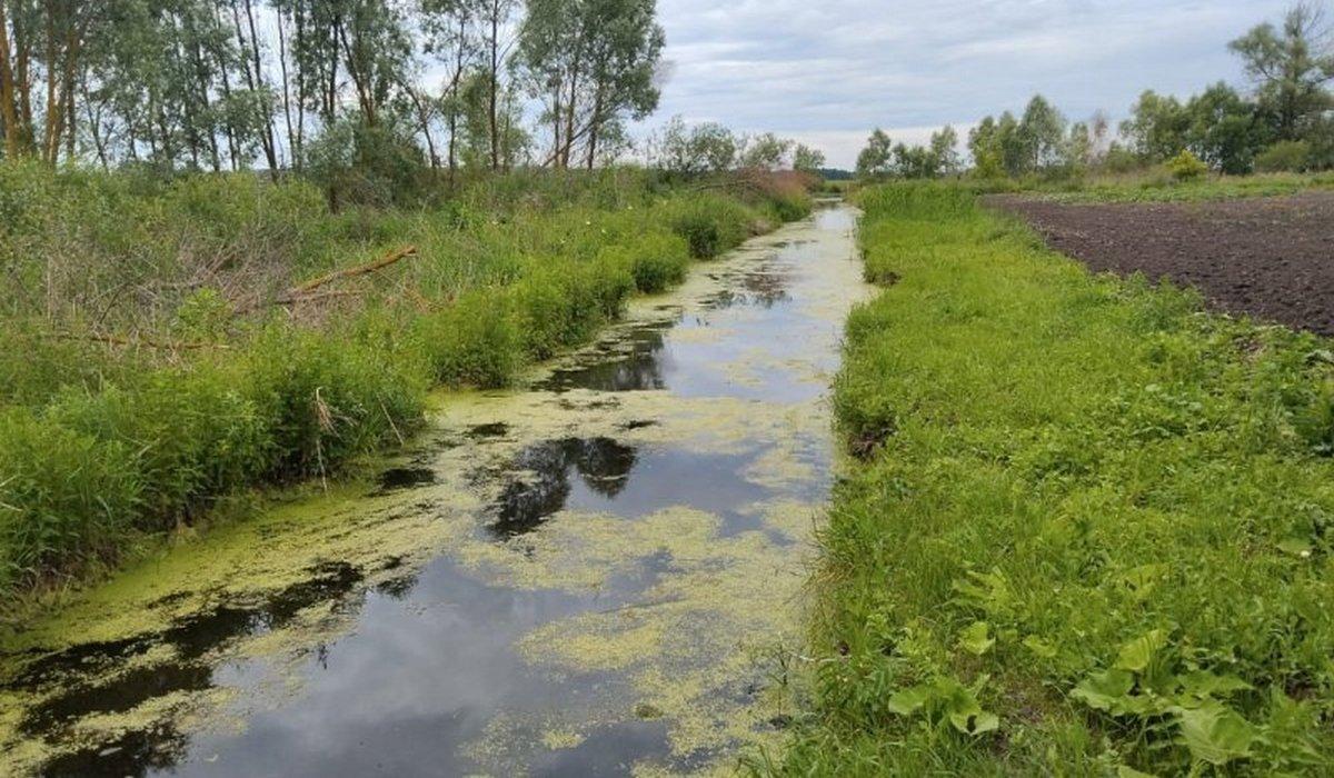 Myslivci a energetici obnovují napajedla