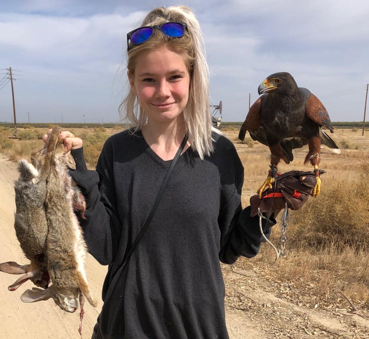 The California Hawking Club was formed in 1971 by a small group of dedicated falconers to preserve and promote the public image of the art of Falconry, to assist in the conservation of birds of prey, and to collect and disseminate information through its publications.