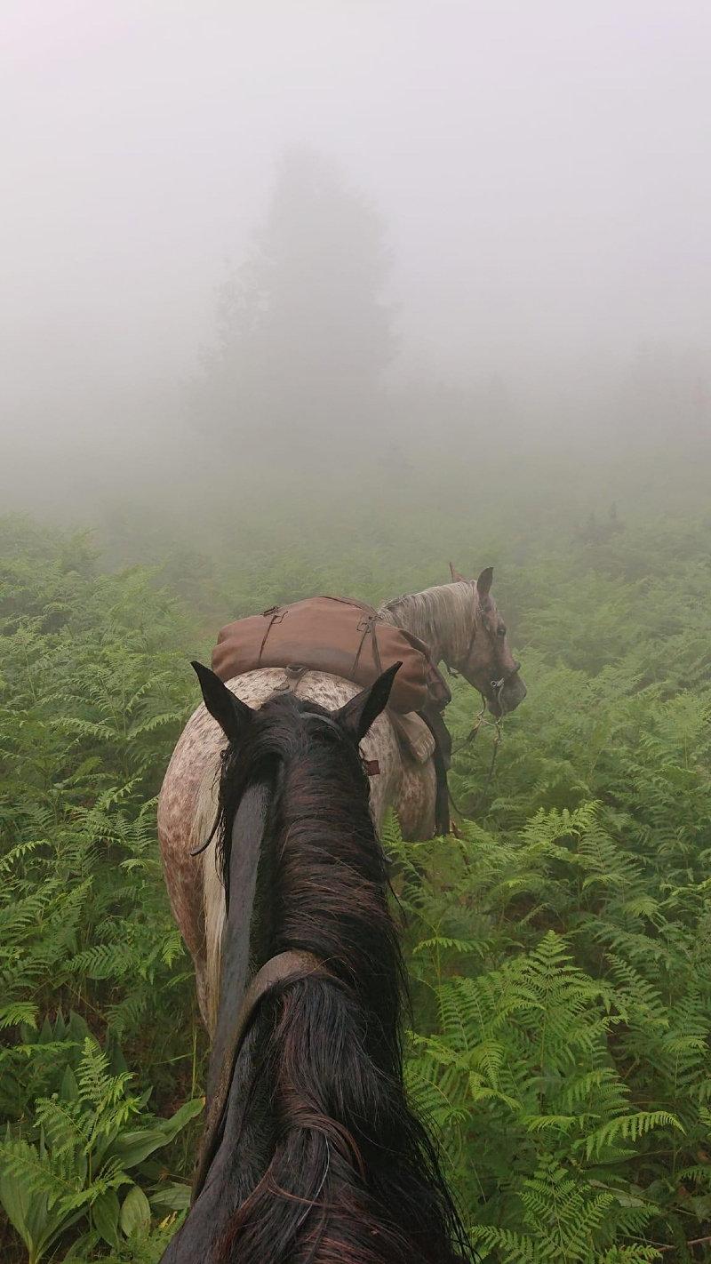 During a trail ride in the French Pyrenees.