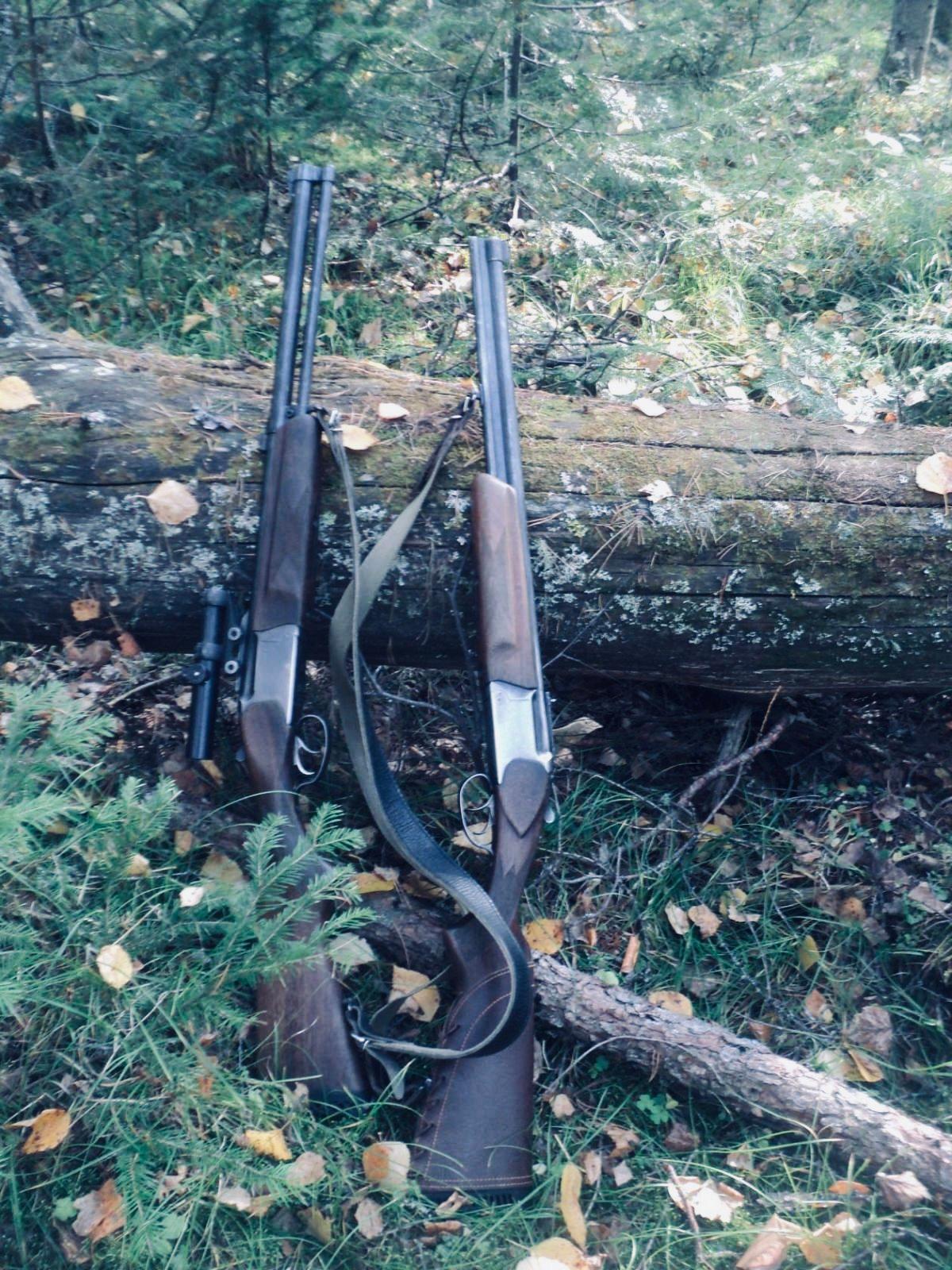 ИЖ-94 «Тайга»: обзор охотничьего комбинированного ружья — калибры, история, характеристики, модификации, отзывы и баллистика