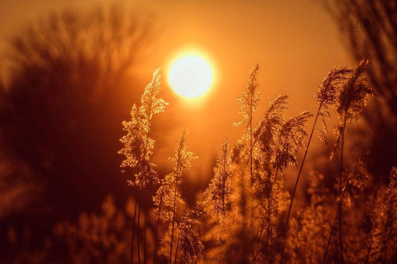 Our sun sets in the evening to rise again in the morning.