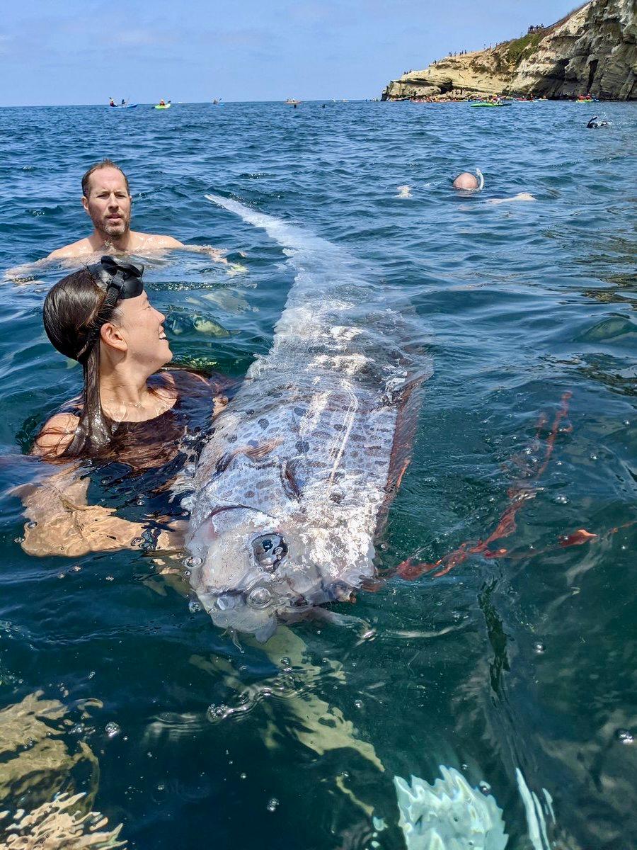 🐟 Рыба судного дня О_о