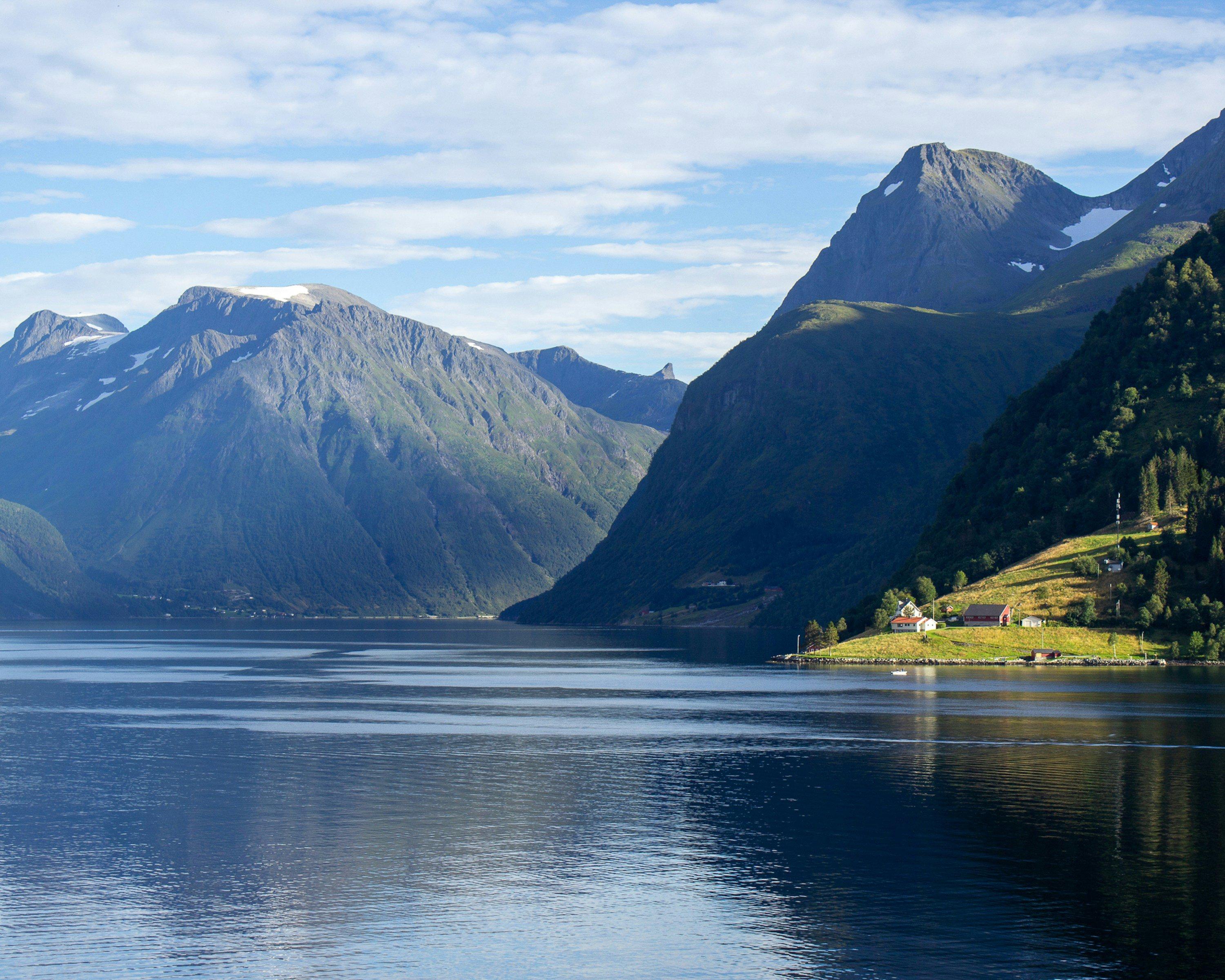 Trøndelag Red Deer Hunting in Norway: A Premier Hunting Destination.