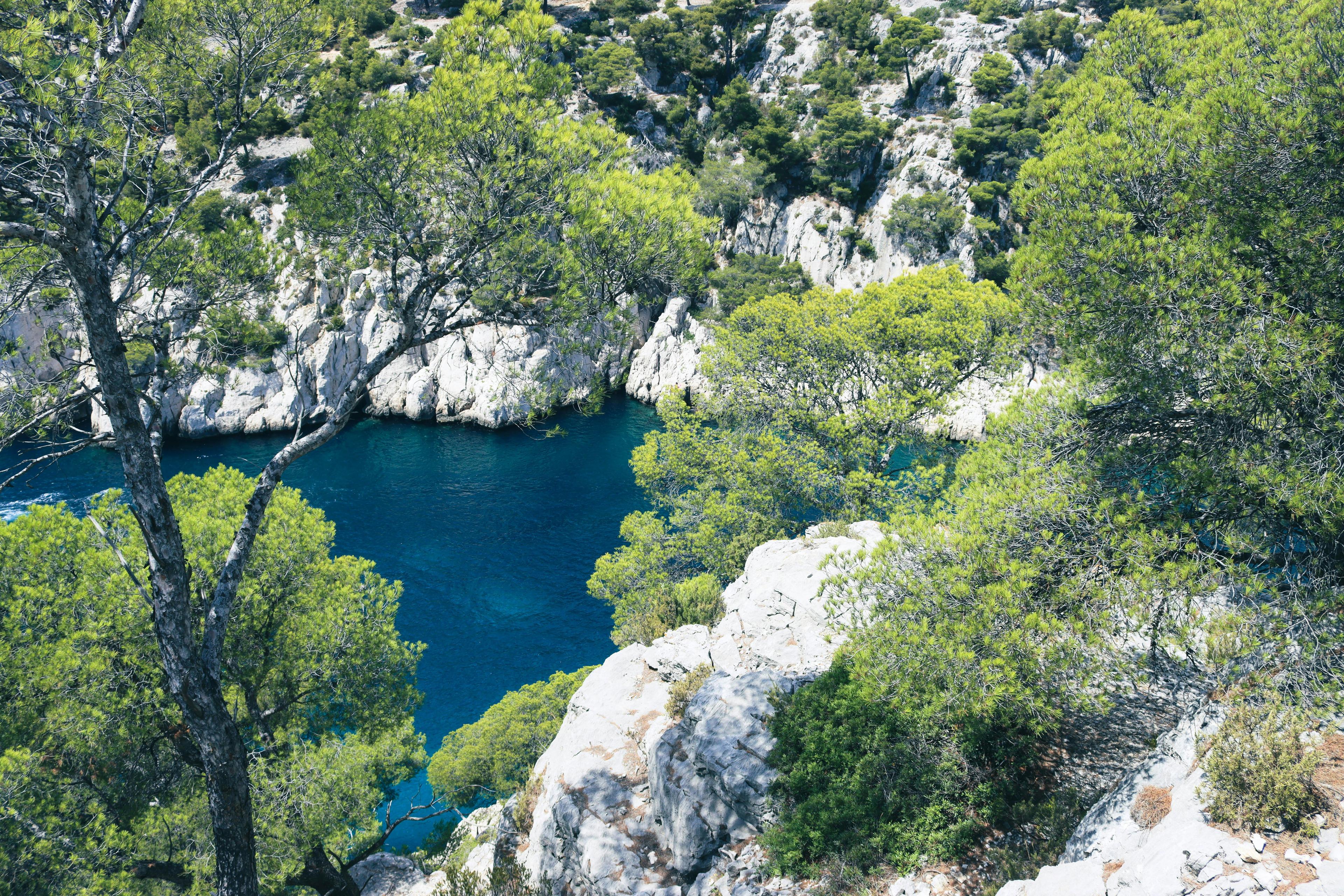 Explorer la Chasse en LANGUEDOC: Associations de chasse, réglementation locale, traditions régionales et faune variée