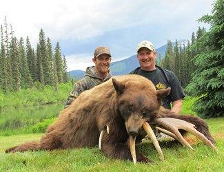 All our bear hunts are spot and stalk style, which proves to be the most exciting every time!