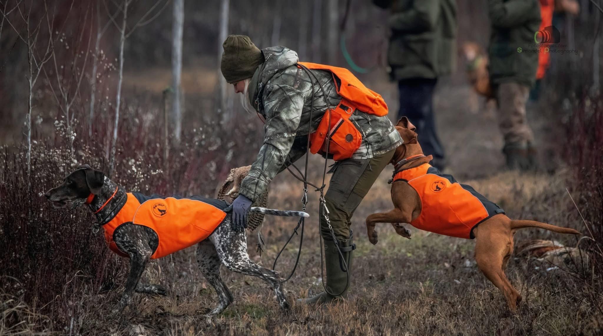The second series of hunting photos from a pheasant hunt between the banks in the heart of the floodplain forests.🐾🌿
