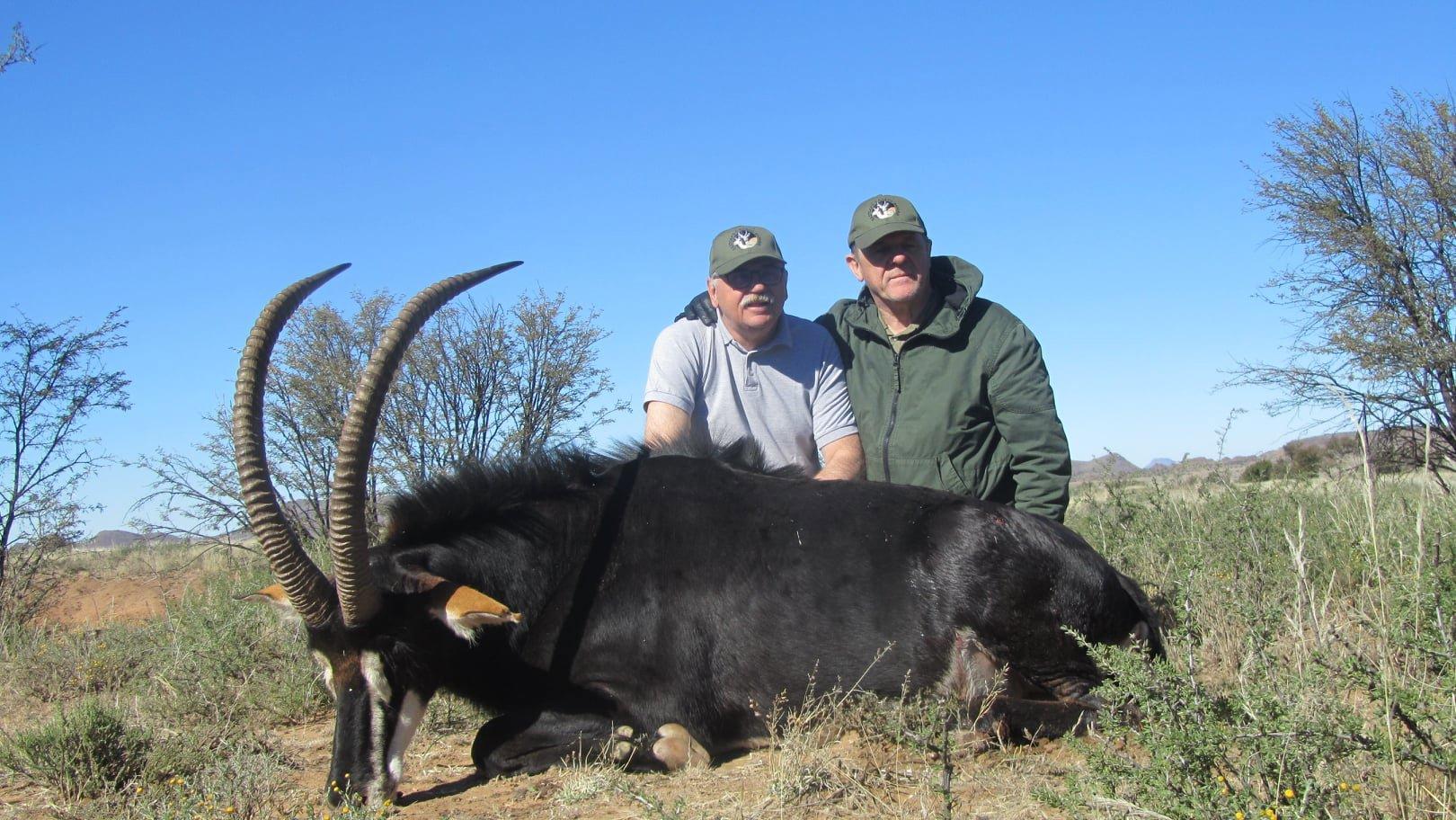 Sable hunted with Pannonvad in the Karoo , South Africa