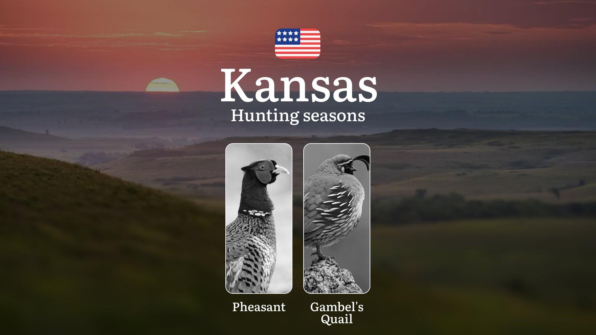 Seasons of Hunting in Kansas: Timing, Rules, Permits and Best Periods for Hunting, Restrictions and Prohibitions, Fines for Violating Hunting