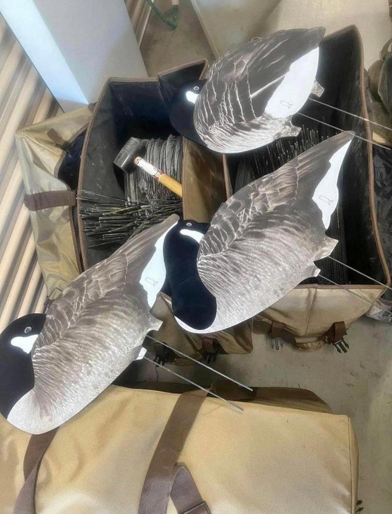 -there are items for sale