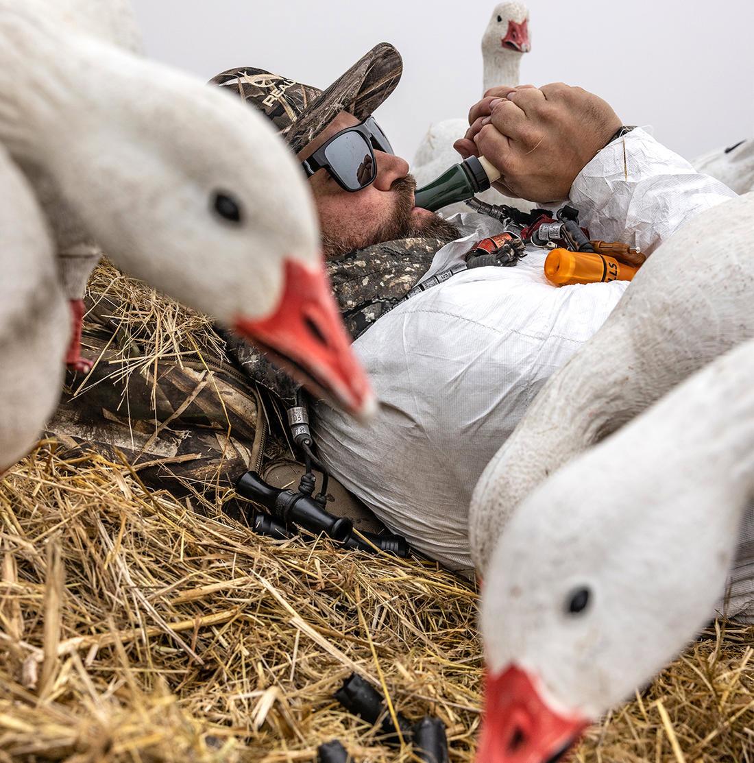 The 10 Best States for Snow Goose Hunting