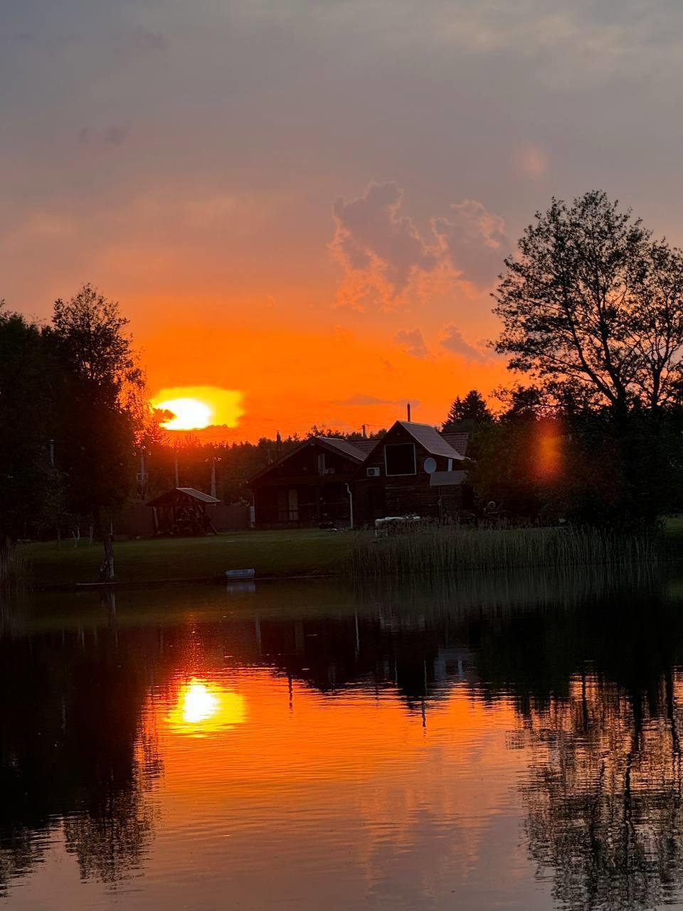 Dobro jutro svima ☀️🐺